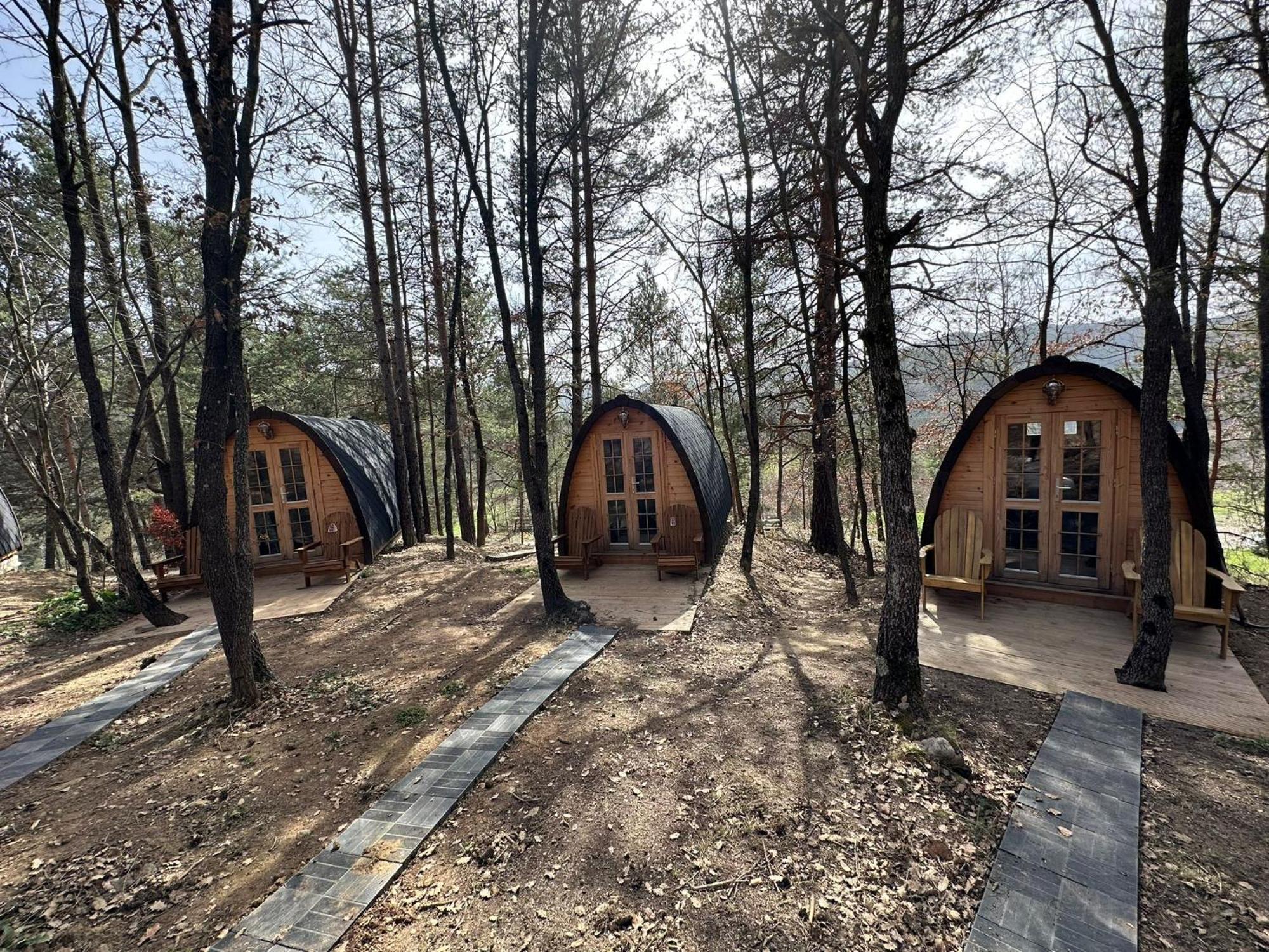 Camping Ripolles Eksteriør billede